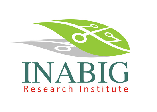 logo INABIG 02 jpeg res
